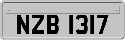 NZB1317