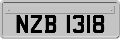 NZB1318