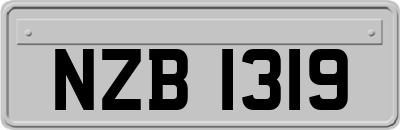 NZB1319
