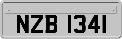 NZB1341