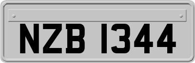 NZB1344