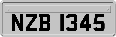 NZB1345