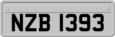 NZB1393