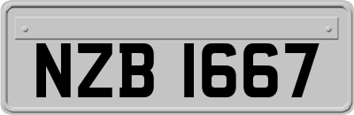 NZB1667