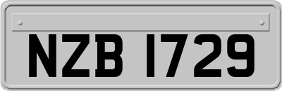 NZB1729
