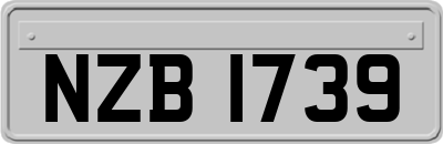 NZB1739