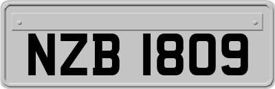 NZB1809