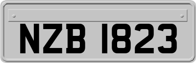 NZB1823