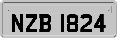 NZB1824