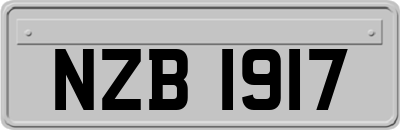 NZB1917