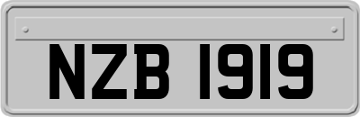 NZB1919