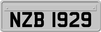 NZB1929