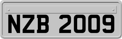 NZB2009