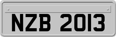 NZB2013