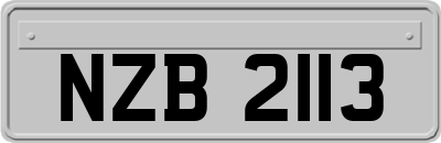 NZB2113