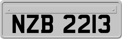 NZB2213