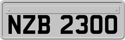 NZB2300