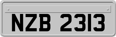 NZB2313