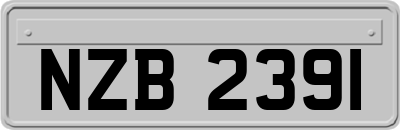 NZB2391