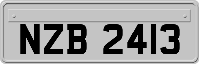 NZB2413