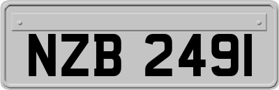 NZB2491