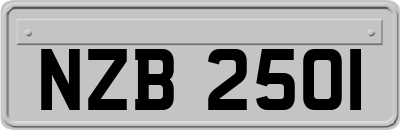 NZB2501