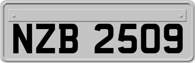 NZB2509