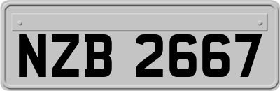 NZB2667