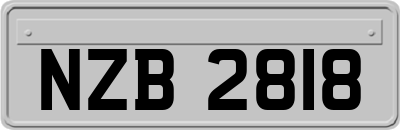 NZB2818