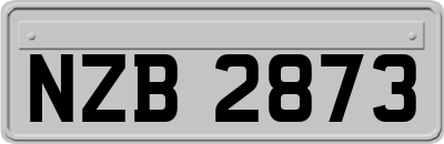 NZB2873