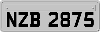 NZB2875