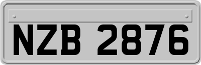 NZB2876