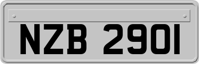 NZB2901