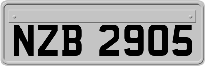 NZB2905