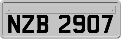 NZB2907