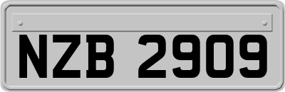 NZB2909