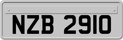 NZB2910