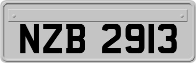 NZB2913