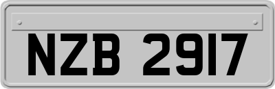 NZB2917
