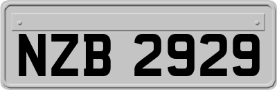NZB2929
