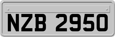 NZB2950