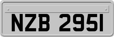 NZB2951
