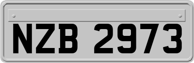 NZB2973