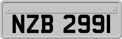 NZB2991
