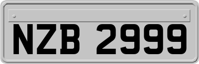 NZB2999