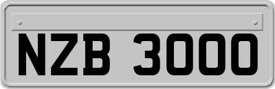 NZB3000