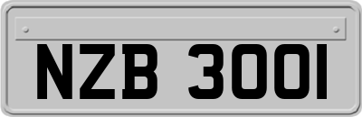 NZB3001