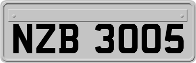 NZB3005