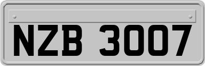 NZB3007
