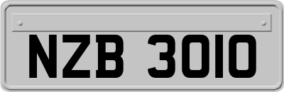 NZB3010
